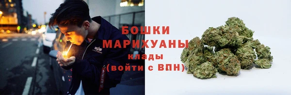 ПСИЛОЦИБИНОВЫЕ ГРИБЫ Гусь-Хрустальный