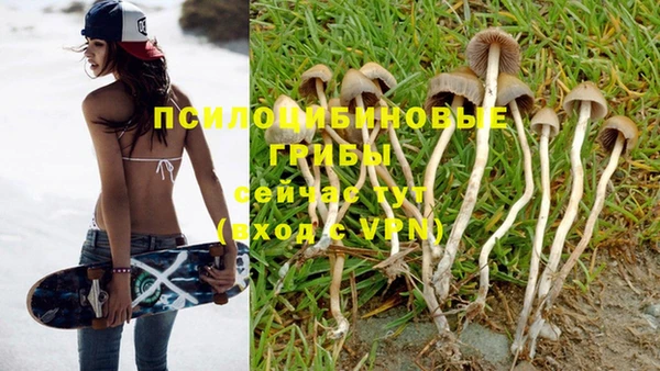 МДМА Гусиноозёрск