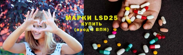 ПСИЛОЦИБИНОВЫЕ ГРИБЫ Гусь-Хрустальный