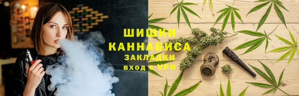ПСИЛОЦИБИНОВЫЕ ГРИБЫ Гусь-Хрустальный
