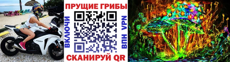 Купить  Нижняя Тура  Галлюциногенные грибы Psilocybine cubensis 